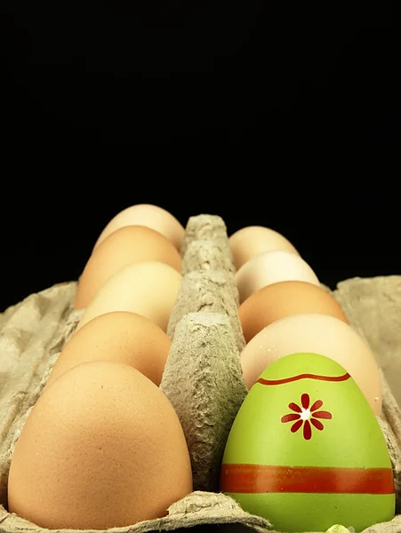 Colorful Easter egg in the company of ordinary eggs. — Stock Photo, Image