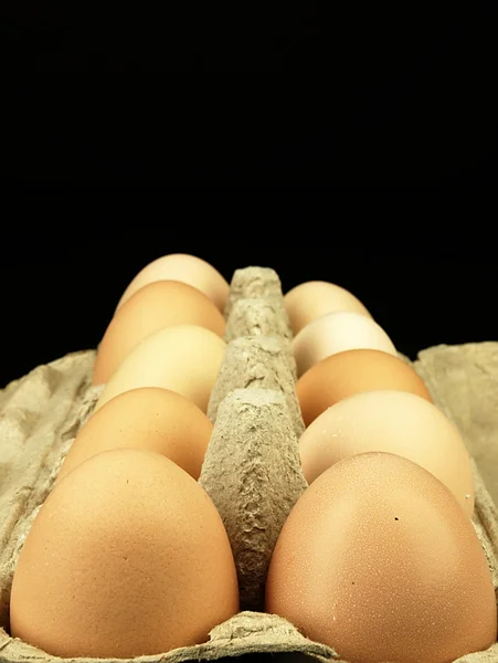Fresh eggs in the box. — Stock Photo, Image