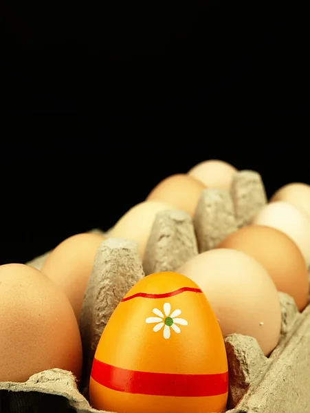 Colorful Easter egg in the company of ordinary eggs. — Stock Photo, Image