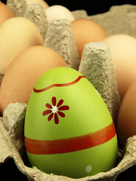 Colorido huevo de Pascua en compañía de huevos ordinarios . —  Fotos de Stock