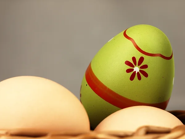 Colorido huevo de Pascua en compañía de huevos ordinarios . —  Fotos de Stock