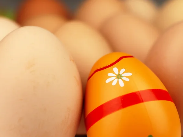 Colorido huevo de Pascua en compañía de huevos ordinarios . —  Fotos de Stock