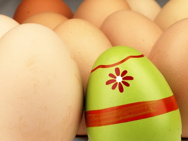 Colorful Easter egg in the company of ordinary eggs. — Stock Photo, Image