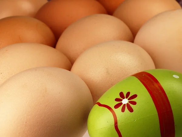 Colorido huevo de Pascua en compañía de huevos ordinarios . —  Fotos de Stock