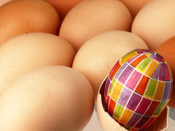 Colorido huevo de Pascua en compañía de huevos ordinarios . —  Fotos de Stock