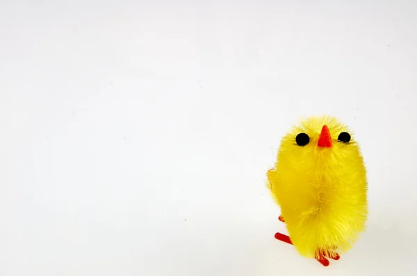 Küçük sarı tavuk. Paskalya süsleri. — Stok fotoğraf