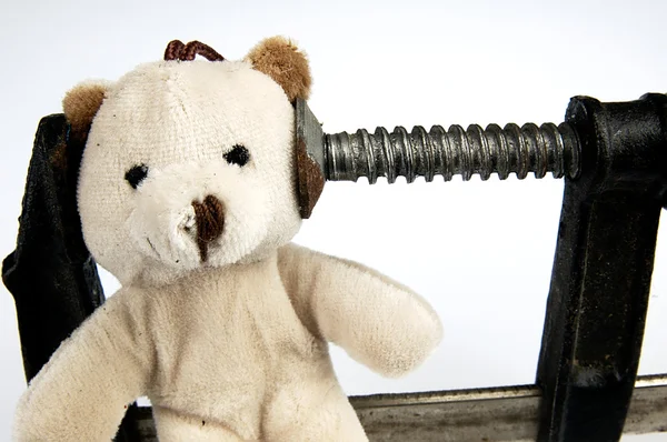 Klemme auf dem Kopf Teddybär-Spielzeug. — Stockfoto