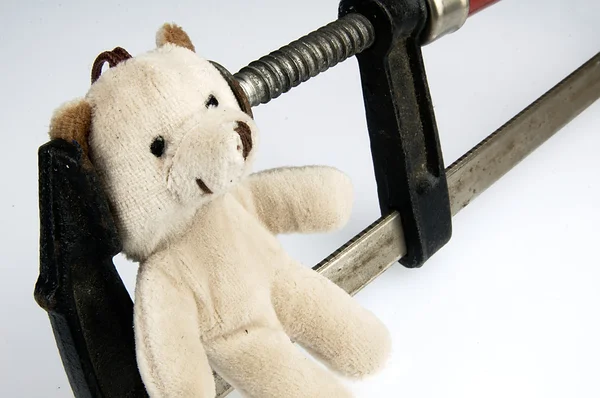 Clamp on the head teddy bear toy. — Stock Photo, Image