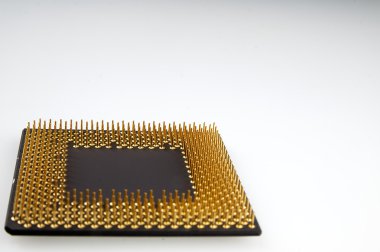 Beyaz zemin üzerine altın pimleri Marnixkade işlemci.