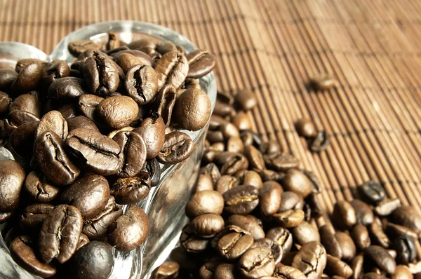 Spridda färska kaffebönor. — Stockfoto