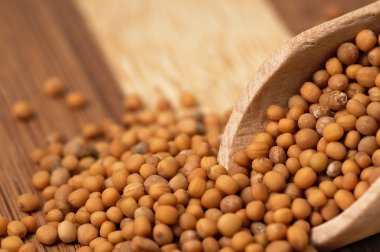 Hardal tohumu bir tahta üzerinde kurulu iki renkli.