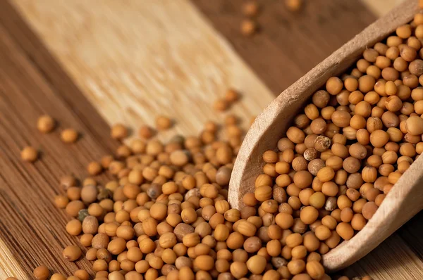 Hardal tohumu bir tahta üzerinde kurulu iki renkli.