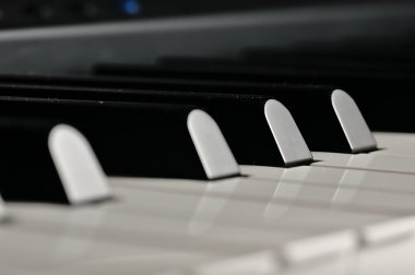 Piyano tuşları. Sahne Alanı'nda müzik aleti.