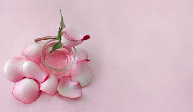 Pembe arkaplan, pembe çiçek, taç yaprakları ve gül özü. Kadınsı spa konsepti