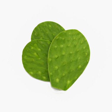 Beyaz arka planda taze yeşil kaktüs yaprağı nopales (Opuntia ficus-indica)