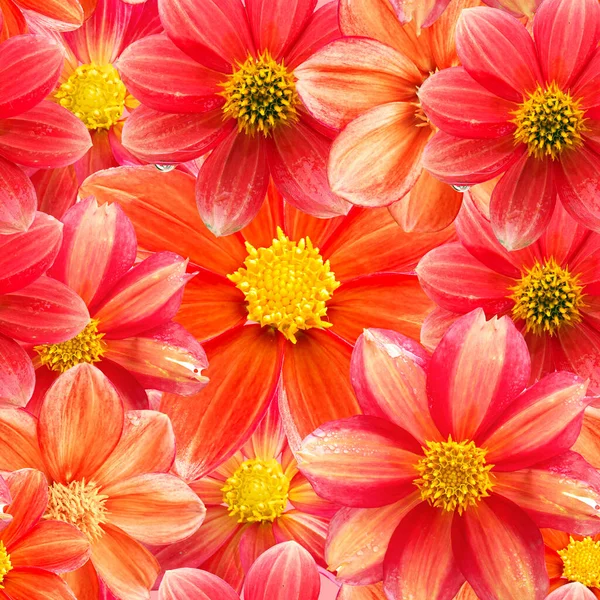 Seamless Floral Pattern Various Red Flowers — Stock Photo, Image