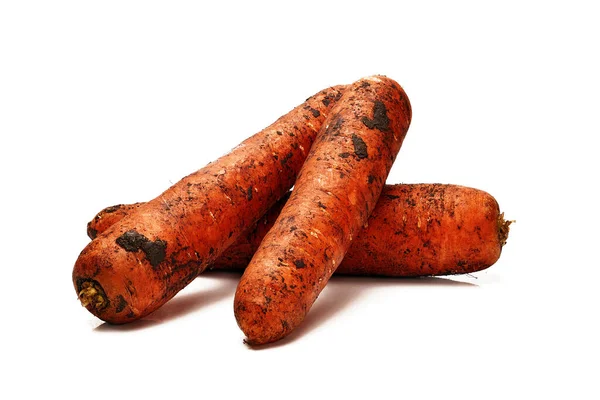 Dirty Big Ripe Carrots Isolated White Background — Stock Photo, Image