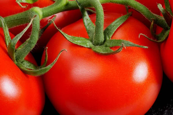 Nahaufnahme Von Reifen Tomaten Der Rebe — Stockfoto