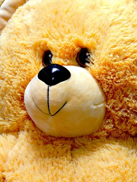 Primer Plano Peluche Oso — Foto de Stock