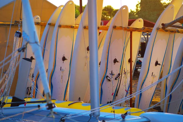 Almacenamiento Tablas Windsurf Una Instalación Deportes Acuáticos Playa Mañana Temprano — Foto de Stock