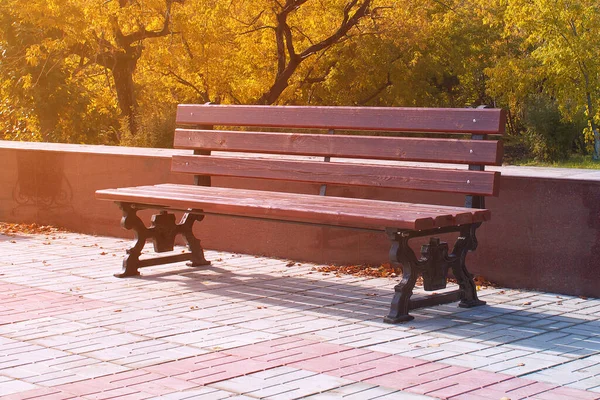 Sonbahar Güneşli Bir Günde Şehir Parkında Güneşli Bir Bankta — Stok fotoğraf