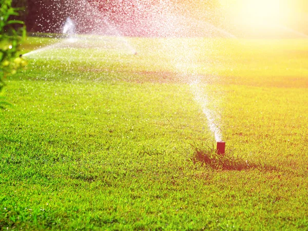 automatic lawn watering system irrigating grass, toned, sunlight effect