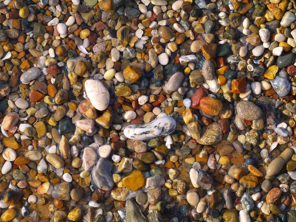 小さなぬれたカラフルな小石の背景 — ストック写真
