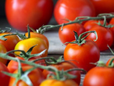 Tahta masadaki diğer domatesler arasında kiraz domatesi, sığ alan derinliği, seçici odak, yakın çekim