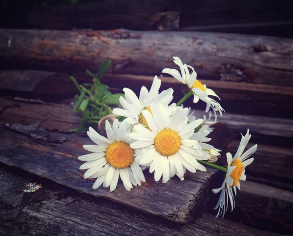 Daisy Bouquet Old Wooden Boards Vintage Toned Lomography Copy Space — Stock Photo, Image