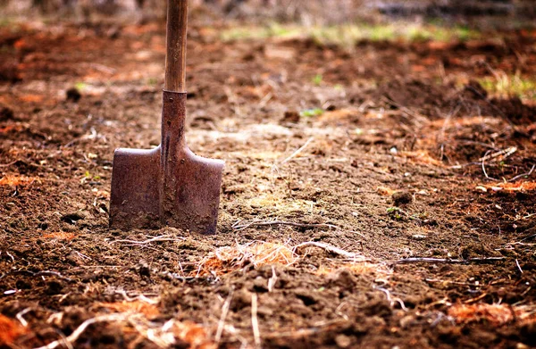 Pala Terra Giardino Primaverile Profondità Campo Poco Profonda Copiare Spazio — Foto Stock