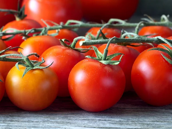 Reife Kirschtomaten Den Reben Geringe Schärfentiefe Nahaufnahme — Stockfoto