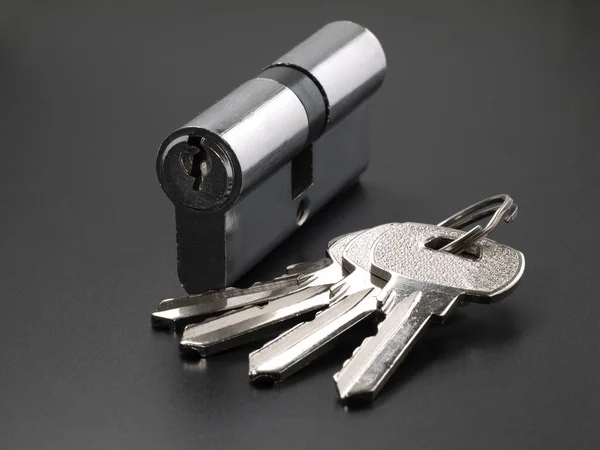 Pin Tumbler Cylinder Lock Internal Mechanism Set Keys — Stock Photo, Image