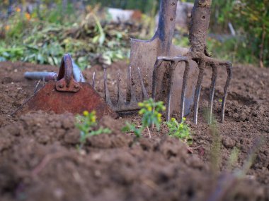 kullanılan bahçe aletleri, sığ alan derinliği