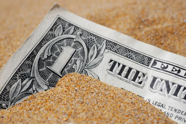 Macro of one dollar banknote buried in the sand.