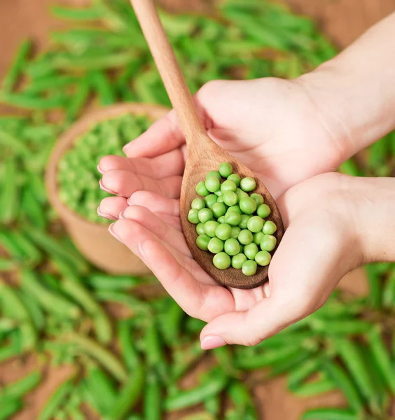 Vainas de guisantes verdes —  Fotos de Stock