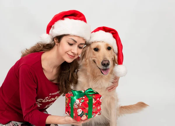 Retrato Cão Branco Golden Retriever Com Seu Dono Olhando Para — Fotografia de Stock