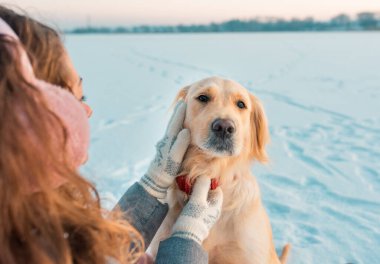 Köpek beyazı golden retriever 'ın kışın açık havada kırmızı yakalı hali. Soğuk havada evcil hayvan.