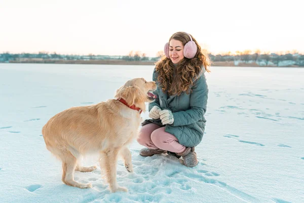 Big Golden Retriever Dog Giving Paw Its Owner Background Winter — Stock Photo, Image