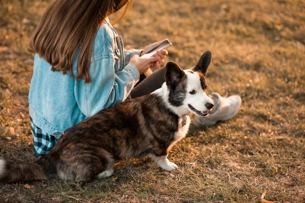 Zbliżenie kobieta siedzi z psem w czasie wiosny na zewnątrz — Zdjęcie stockowe