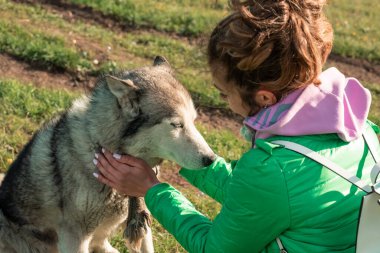 Oyuncu bir köpek sahibinden memnun.