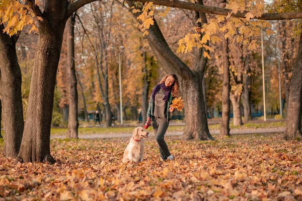卷曲的年轻女子和她的狗一起坐在树叶上 生活方式秋季照片 — 图库照片
