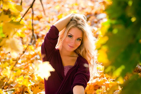 Portrait of pretty girl on the background yellow leaves — Stock Photo, Image
