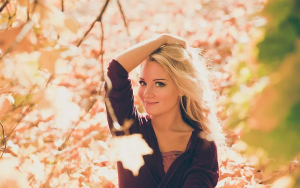 Portrait of pretty girl on the background yellow leaves — Stock Photo, Image