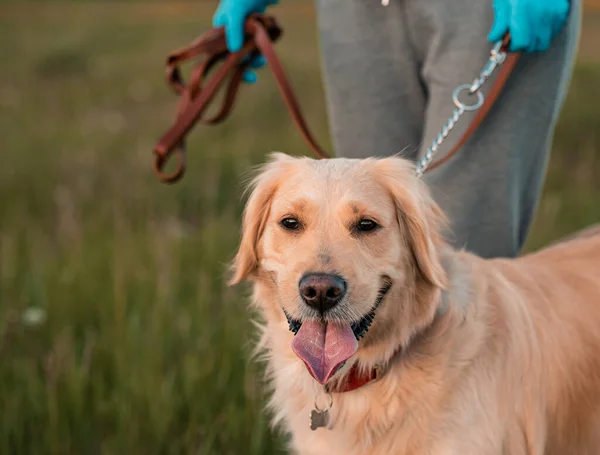 若いです巻き女性とともに彼女の犬ウォーキングオン新鮮な空気屋外 — ストック写真