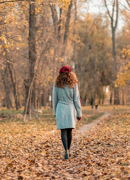 Kvinna gå på hösten gula löv i varma kläder Stockbild