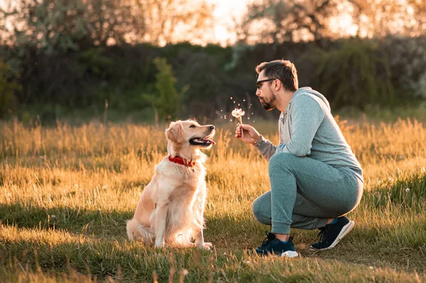 Hombre guapo con un perro golden retriever paseo en la pradera de primavera Imágenes De Stock Sin Royalties Gratis