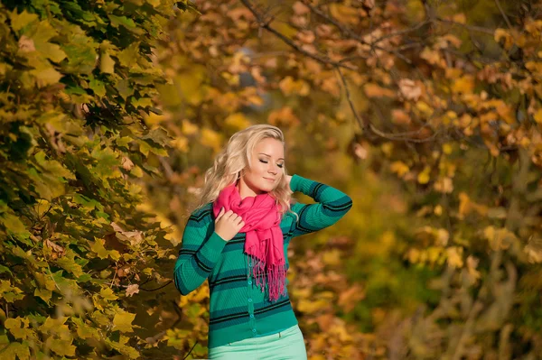 Young blonde woman portrait in autumn color — Stock Photo, Image