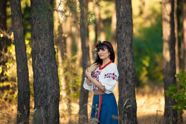 Mujer joven en ropa nacional ucraniana en el campo de trigo —  Fotos de Stock