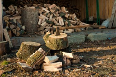 Axe in Chopping Block and Firewood clipart