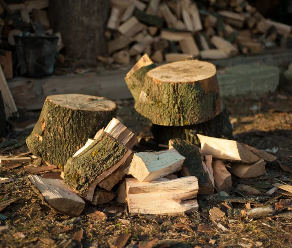 Firewood, wood — Stock Photo, Image